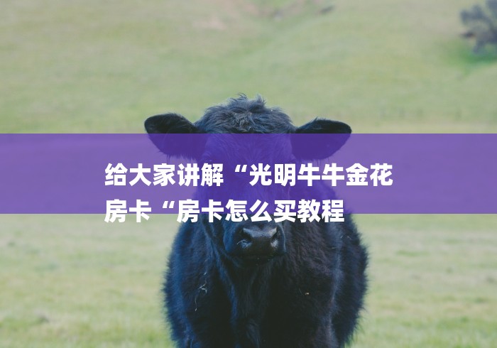 给大家讲解“光明牛牛金花
房卡“房卡怎么买教程