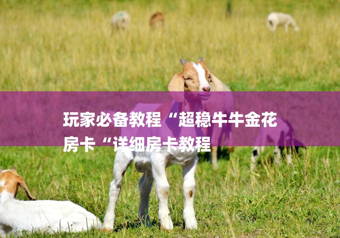 玩家必备教程“超稳牛牛金花
房卡“详细房卡教程 玩家必备教程“超稳牛牛金花
房卡“详细房卡教程