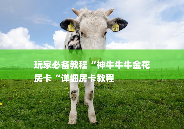 玩家必备教程“神牛牛牛金花
房卡“详细房卡教程