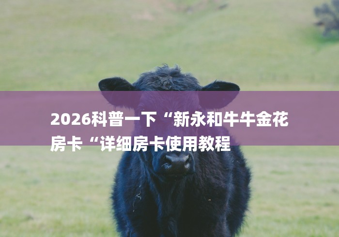 2026科普一下“新永和牛牛金花
房卡“详细房卡使用教程 2026科普一下“新永和牛牛金花
房卡“详细房卡使用教程