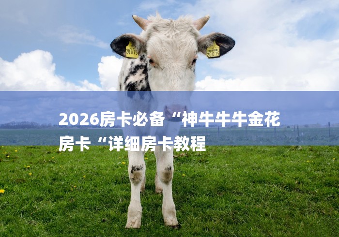 2026房卡必备“神牛牛牛金花
房卡“详细房卡教程 2026房卡必备“神牛牛牛金花
房卡“详细房卡教程